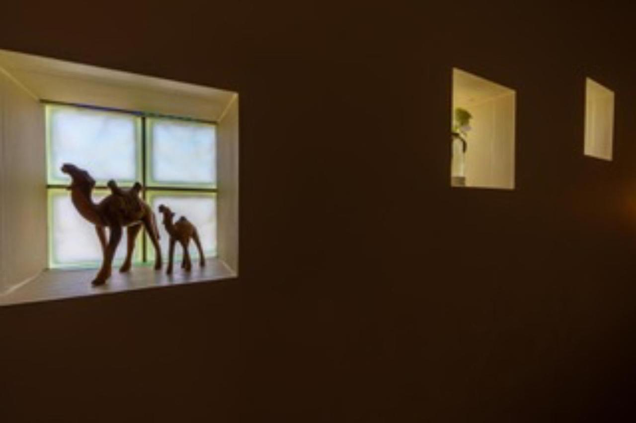 Vlaamse Ardennen Vakantiehuis Casa Caliente Met Wellness Avelgem エクステリア 写真