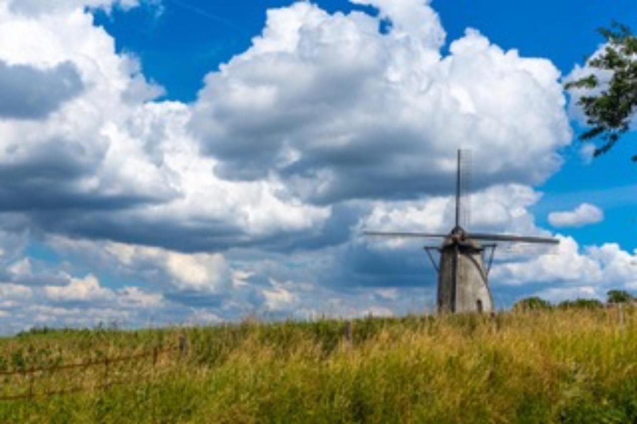 Vlaamse Ardennen Vakantiehuis Casa Caliente Met Wellness Avelgem エクステリア 写真